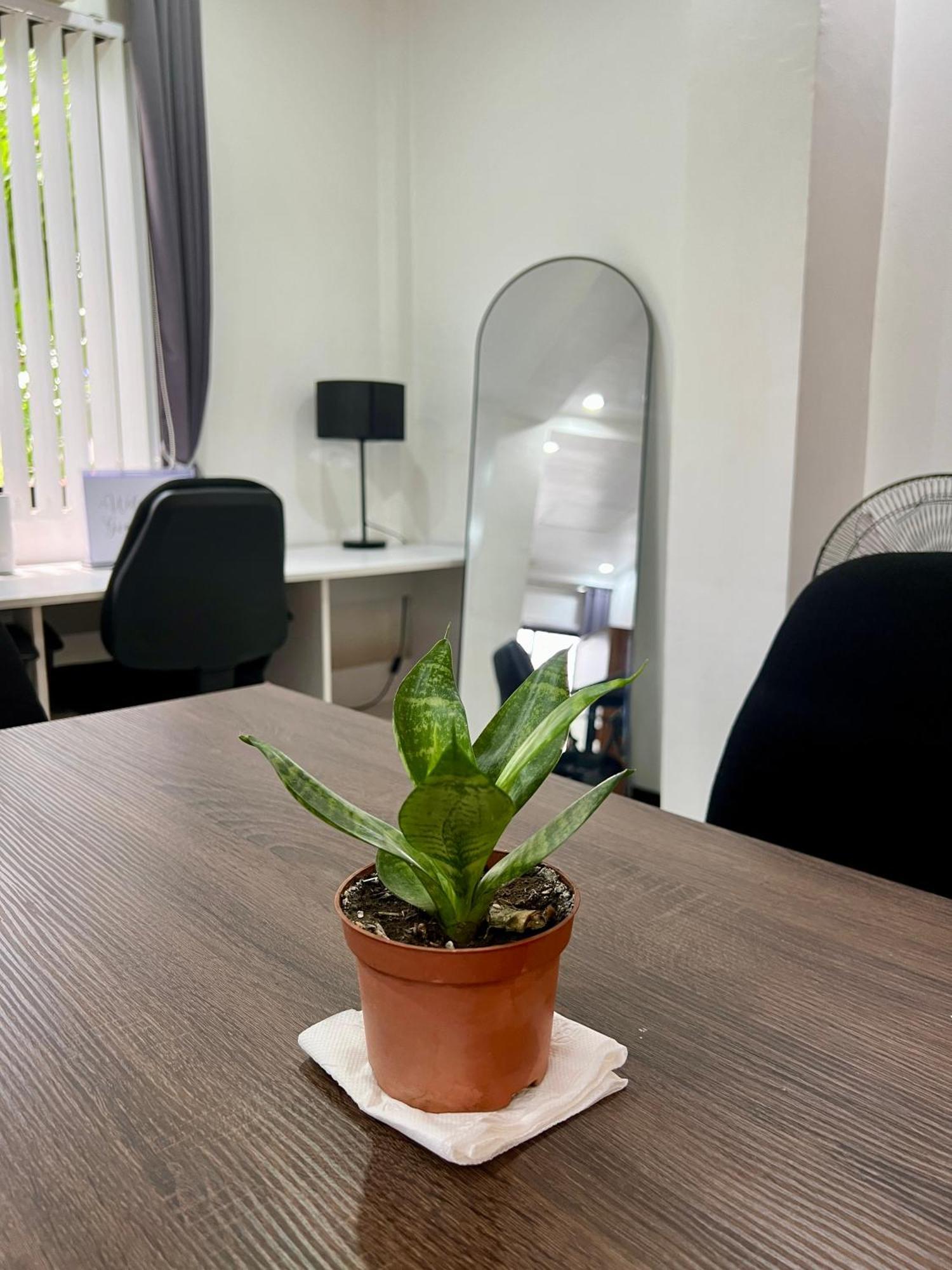 Gia'S Place San Mateo Екстер'єр фото